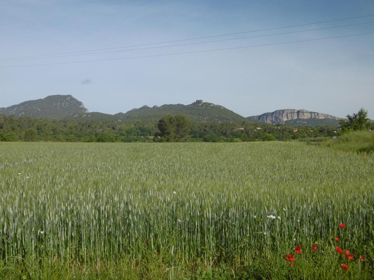Le Castellas Du Pic St Loup Saint-Mathieu-de-Tréviers Eksteriør billede