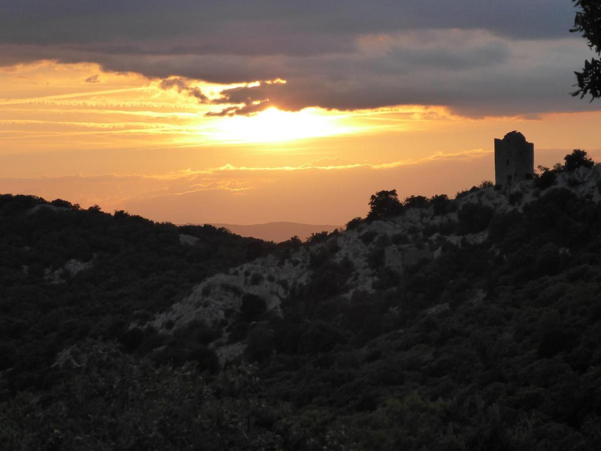 Le Castellas Du Pic St Loup Saint-Mathieu-de-Tréviers Eksteriør billede