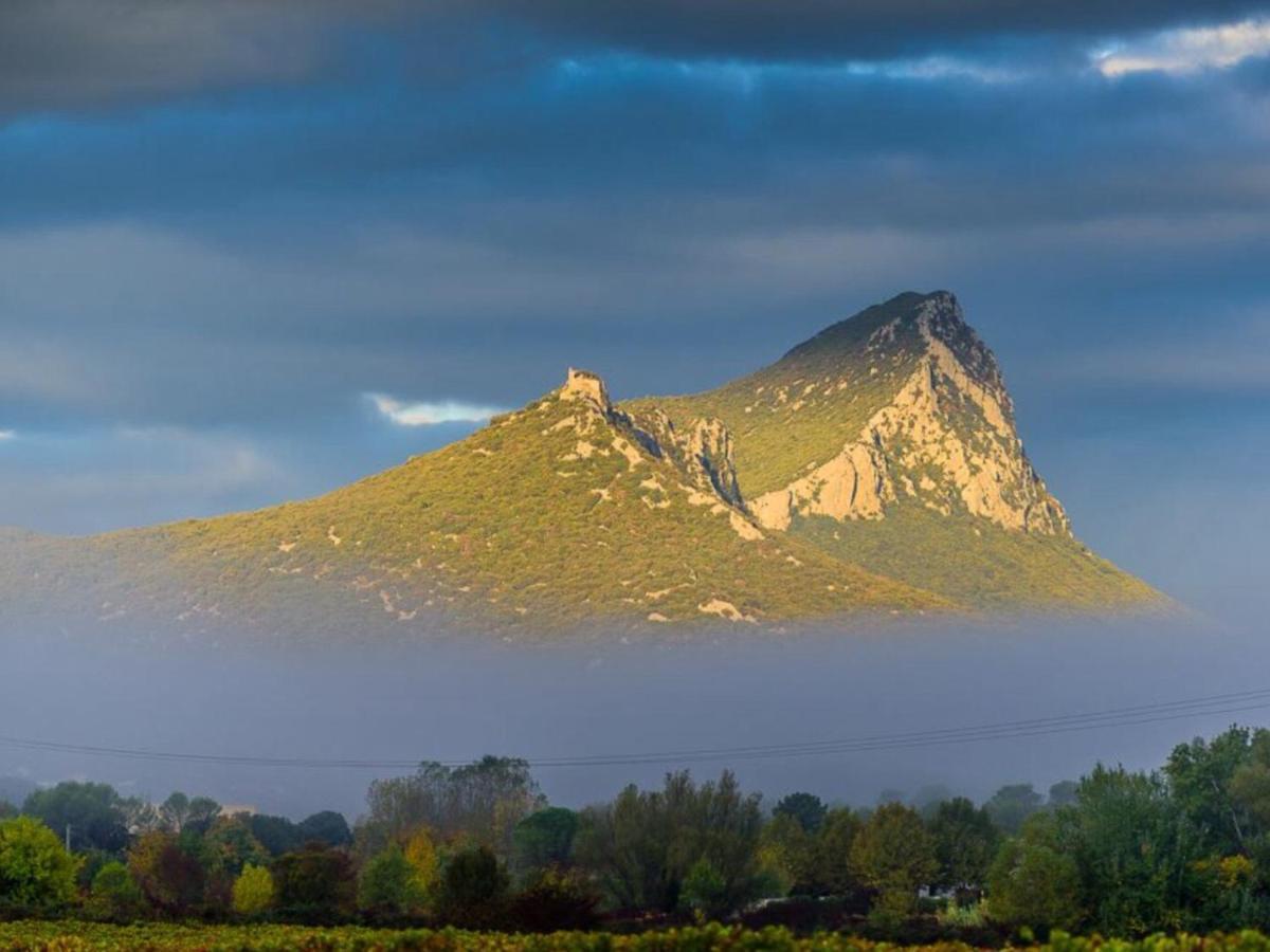 Le Castellas Du Pic St Loup Saint-Mathieu-de-Tréviers Eksteriør billede