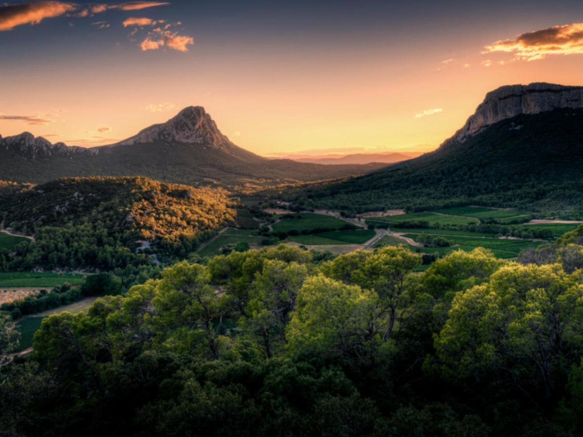 Le Castellas Du Pic St Loup Saint-Mathieu-de-Tréviers Eksteriør billede