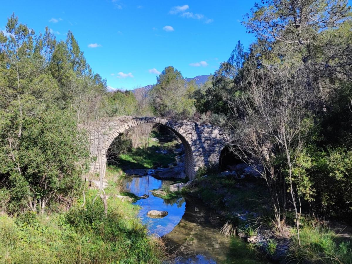 Le Castellas Du Pic St Loup Saint-Mathieu-de-Tréviers Eksteriør billede