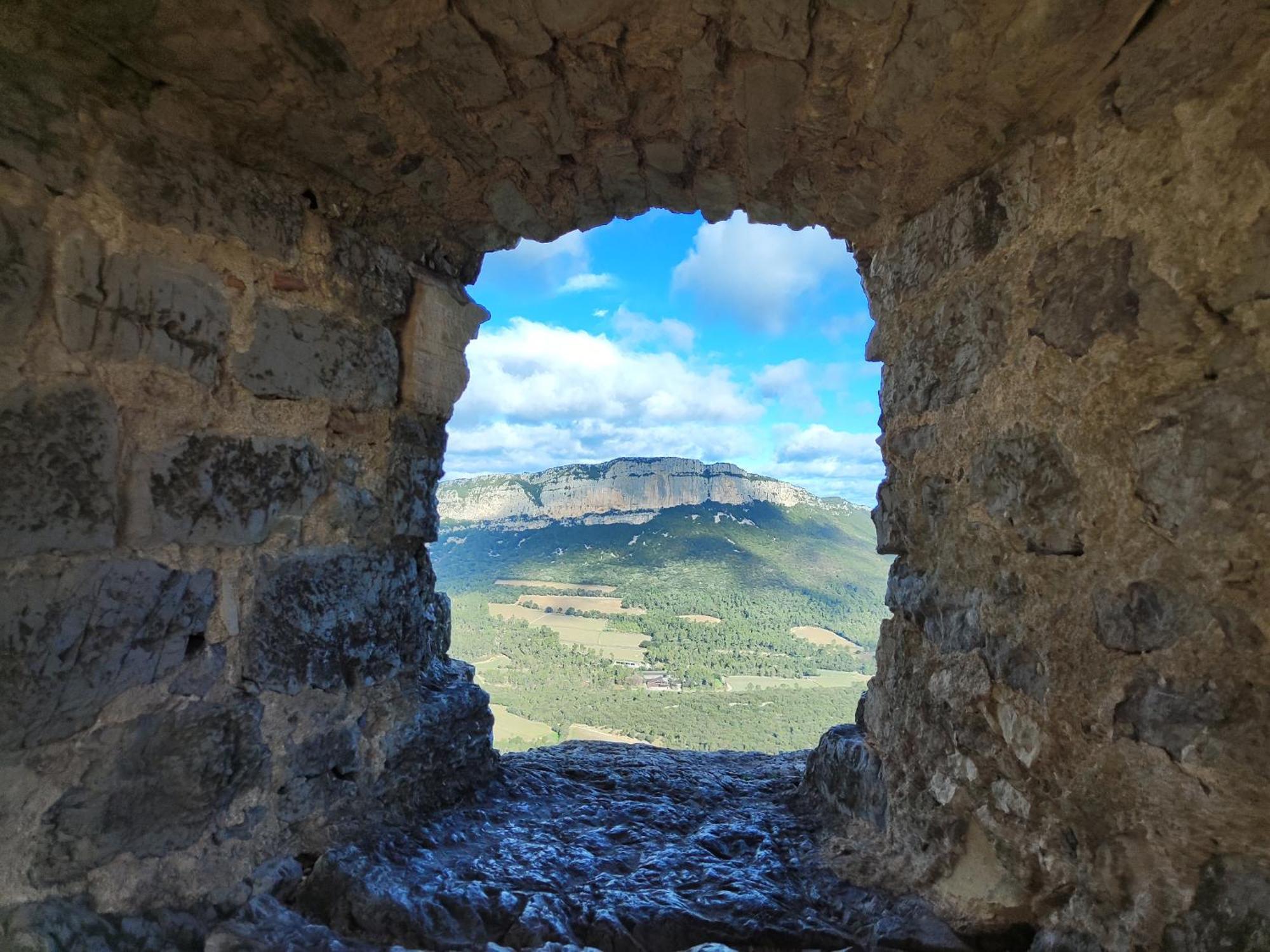 Le Castellas Du Pic St Loup Saint-Mathieu-de-Tréviers Eksteriør billede